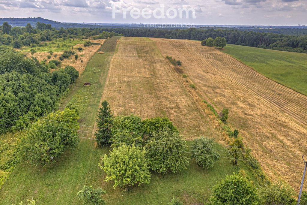 Działka rolna na sprzedaż Siemonia, Kościuszki  17 300m2 Foto 3