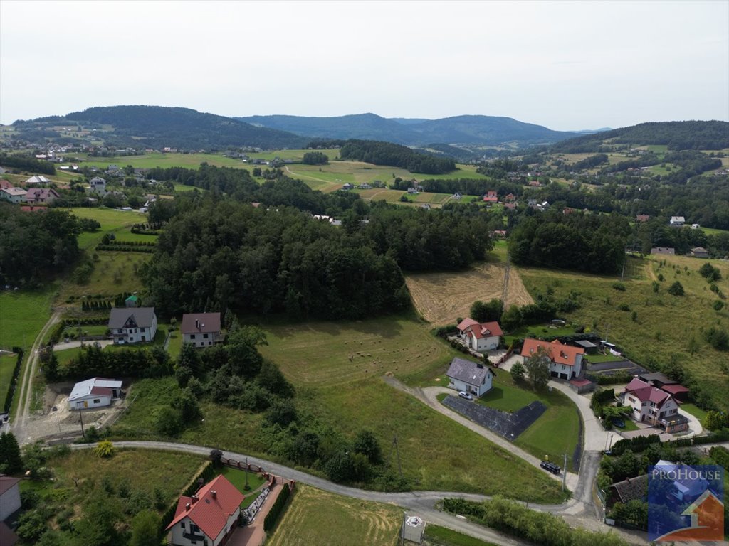 Działka budowlana na sprzedaż Limanowa  3 330m2 Foto 3