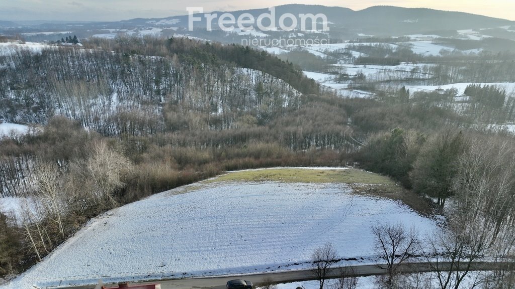 Działka budowlana na sprzedaż Błażkowa  4 544m2 Foto 5