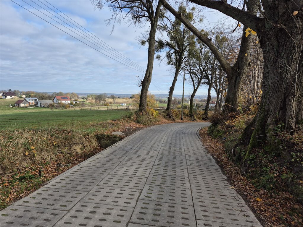 Działka budowlana na sprzedaż Barłomino  10 400m2 Foto 6