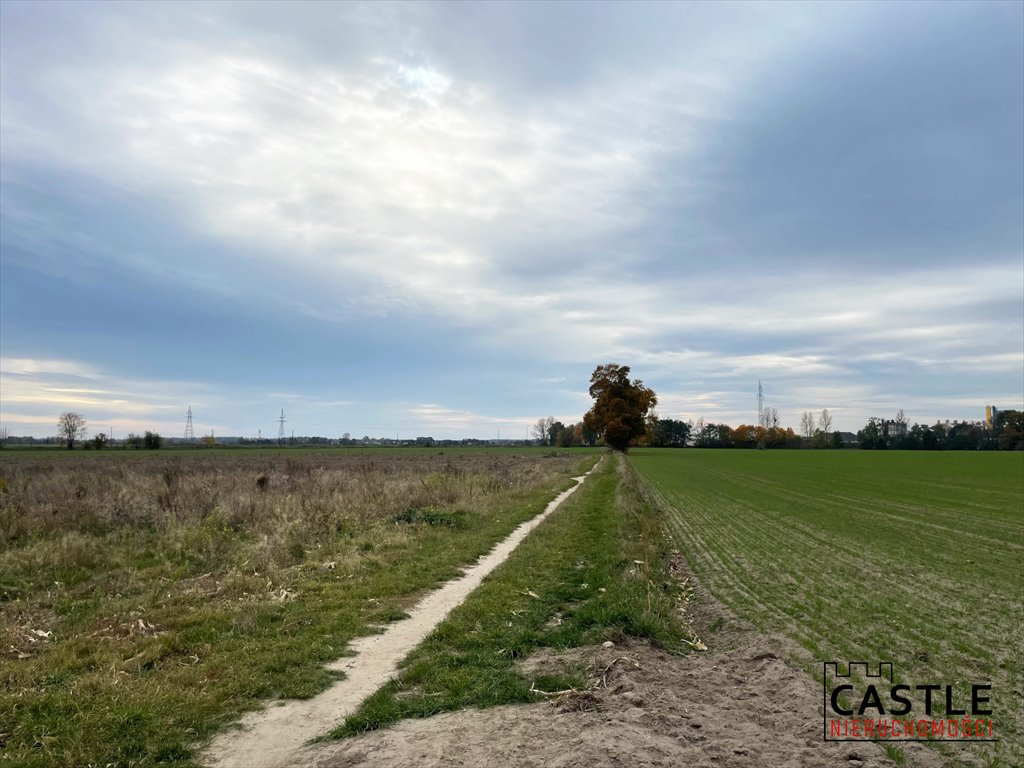 Działka inwestycyjna na sprzedaż Poznań, Żegrze, ul. Sarbinowska  12 500m2 Foto 9