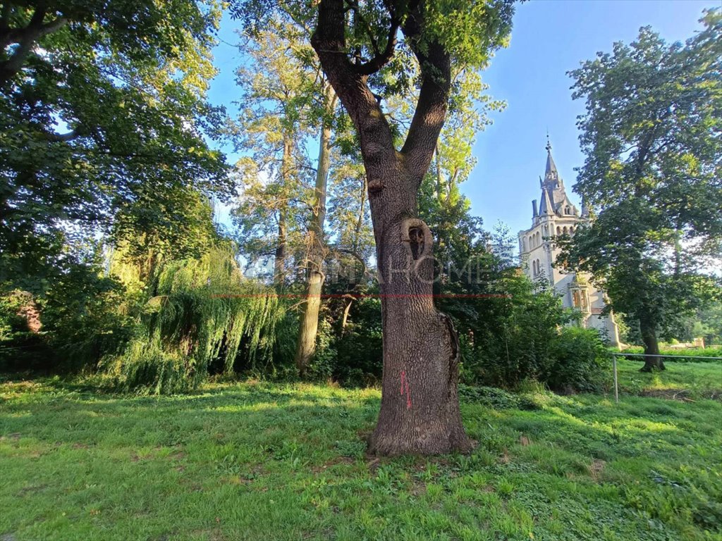 Mieszkanie trzypokojowe na sprzedaż Kopice  60m2 Foto 7