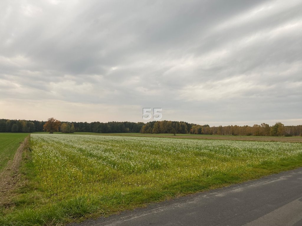 Działka siedliskowa na sprzedaż Ślądkowice  12 900m2 Foto 2