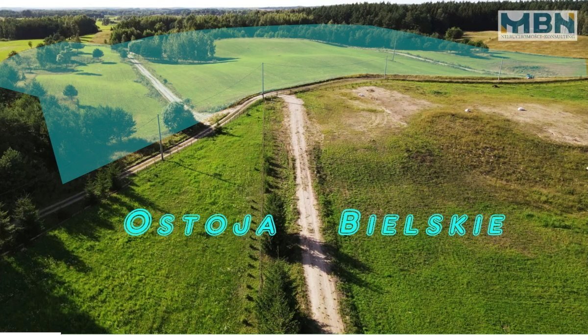 Działka budowlana na sprzedaż Bielskie, Bielskie  2 788m2 Foto 8