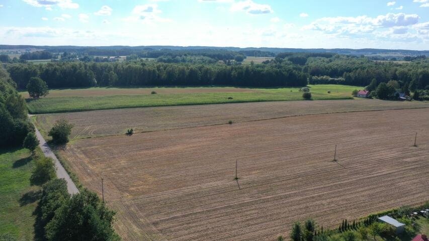 Działka budowlana na sprzedaż Przytuły  3 001m2 Foto 3