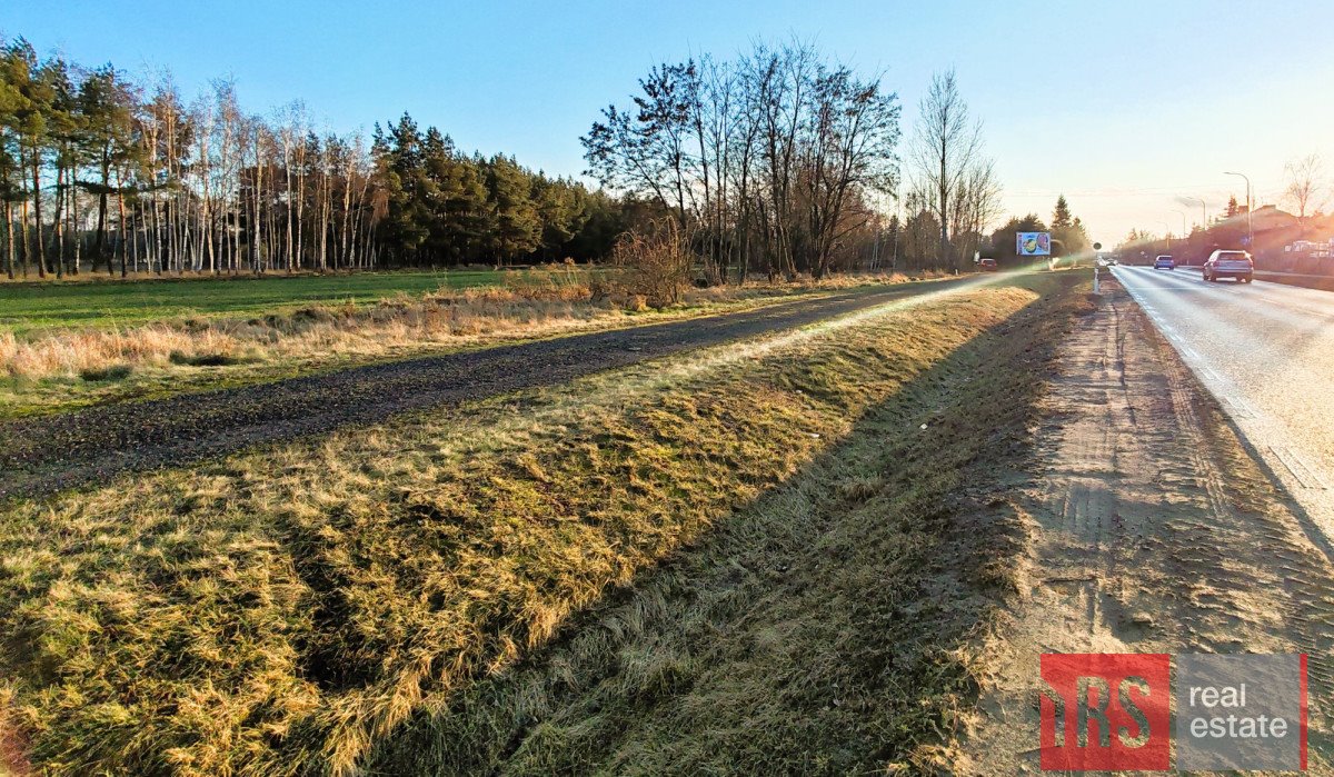 Działka rolna na sprzedaż Sworawa  1 573m2 Foto 3