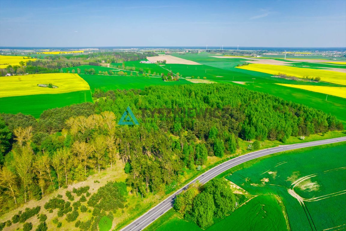 Działka rolna na sprzedaż Bladowo  78 200m2 Foto 2