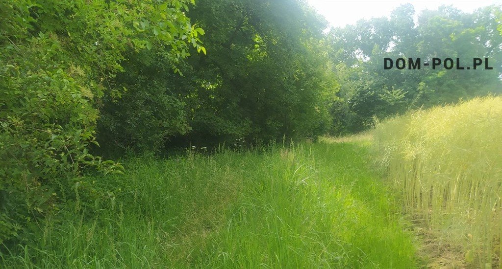 Działka budowlana 5190 m² w Węglinku z dostępem do mediów Lublin, Węglinek  2 595m2 Foto 1