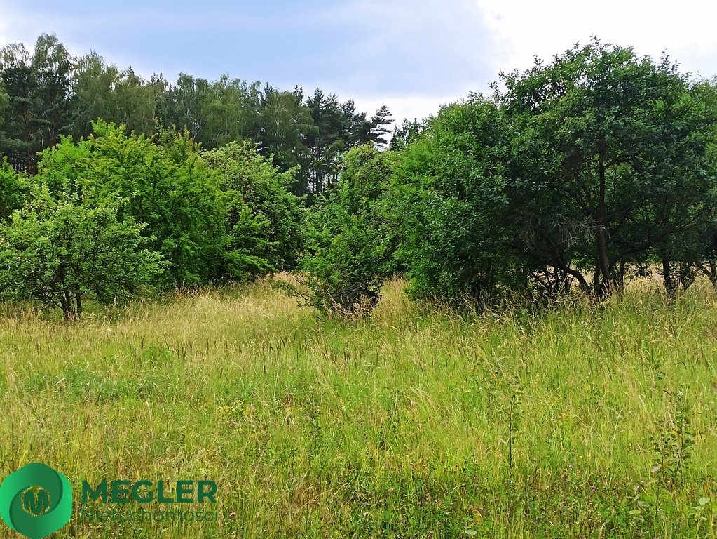 Działka budowlana na sprzedaż Rusiec  950m2 Foto 3