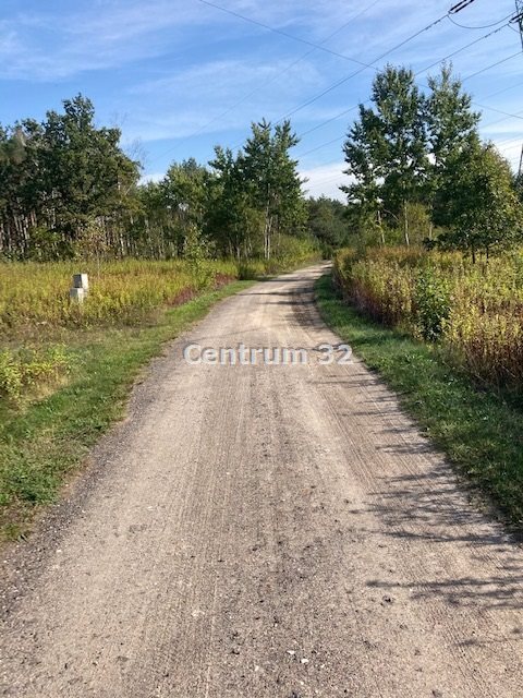 Działka budowlana na sprzedaż Laski, Trenów  4 687m2 Foto 6