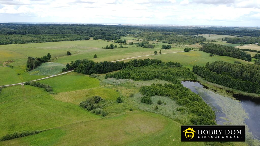 Działka rolna na sprzedaż Stankuny  4 700m2 Foto 14