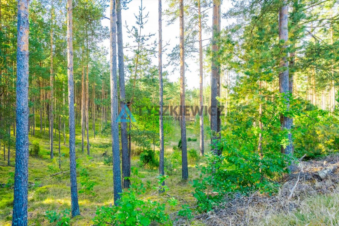 Działka leśna na sprzedaż Piechowice  7 500m2 Foto 11