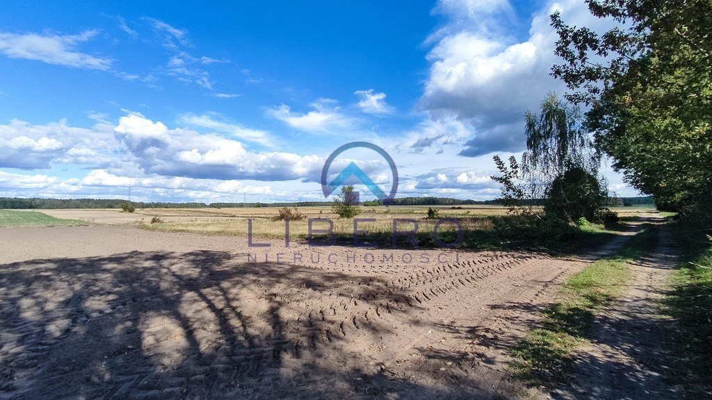 Działka budowlana na sprzedaż Wąsewo  2 900m2 Foto 5