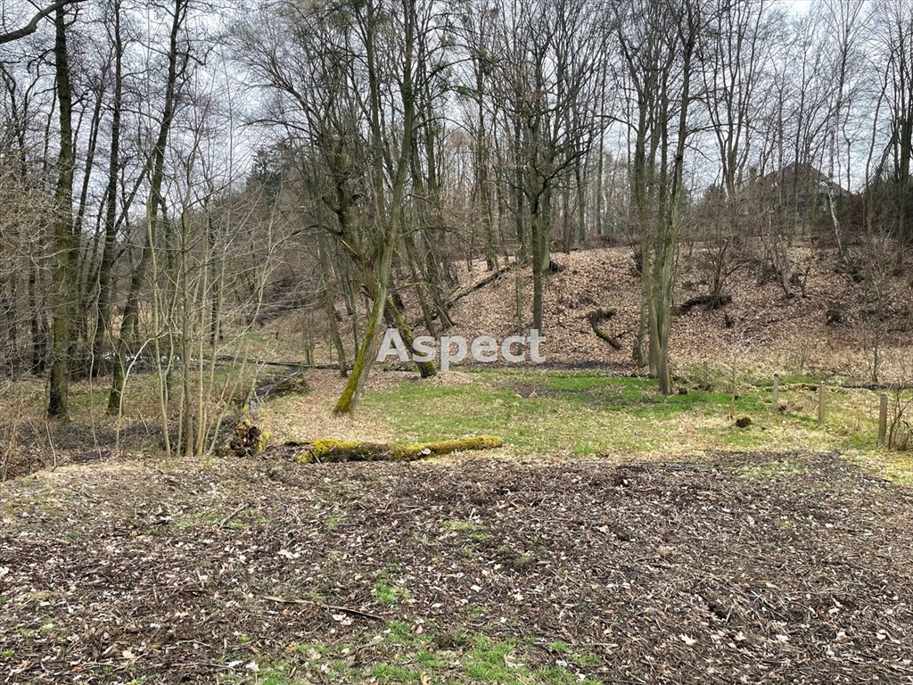 Działka budowlana na sprzedaż Wodzisław Śląski  2 193m2 Foto 1