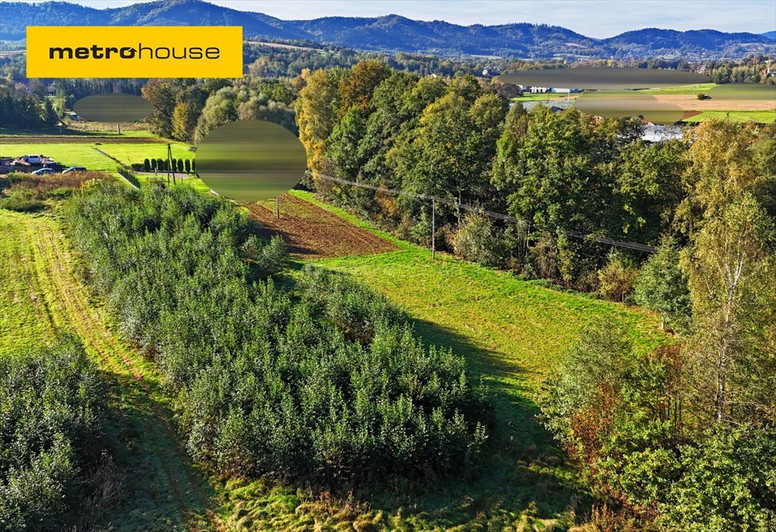 Działka inna na sprzedaż Inwałd  3 194m2 Foto 1