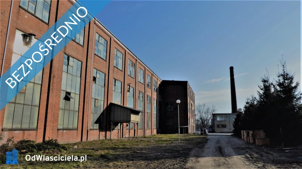 Lokal użytkowy na sprzedaż Ciechów  16 000m2 Foto 2