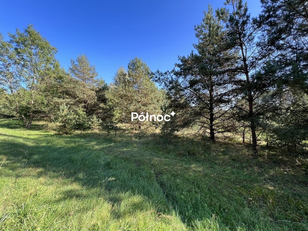 Sprzedam działkę 2669 m² z warunkami zabudowy blisko jeziora Gim Nowa Kaletka  2 669m2 Foto 1