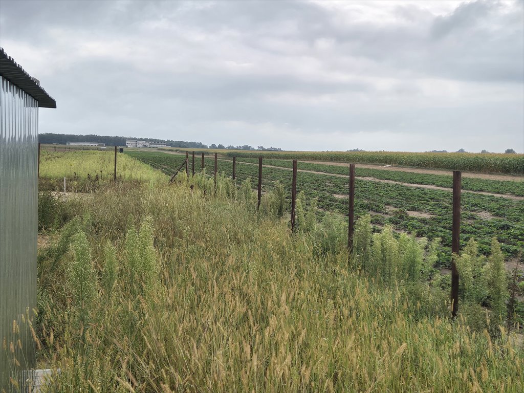 Działka budowlana na sprzedaż Szczytniki  1 099m2 Foto 7