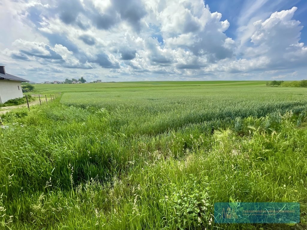 Działka rolna na sprzedaż Jarosław, Widna Góra  2 200m2 Foto 3