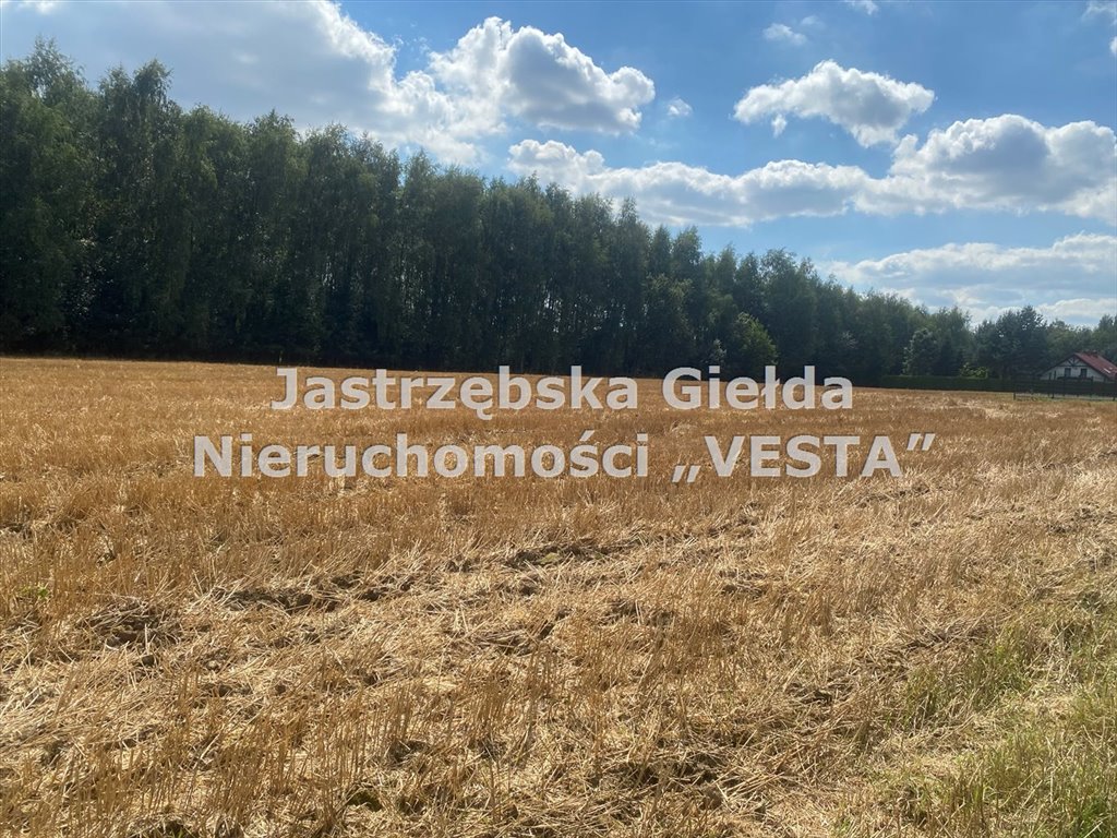 Działka budowlana na sprzedaż Pielgrzymowice  8 967m2 Foto 2