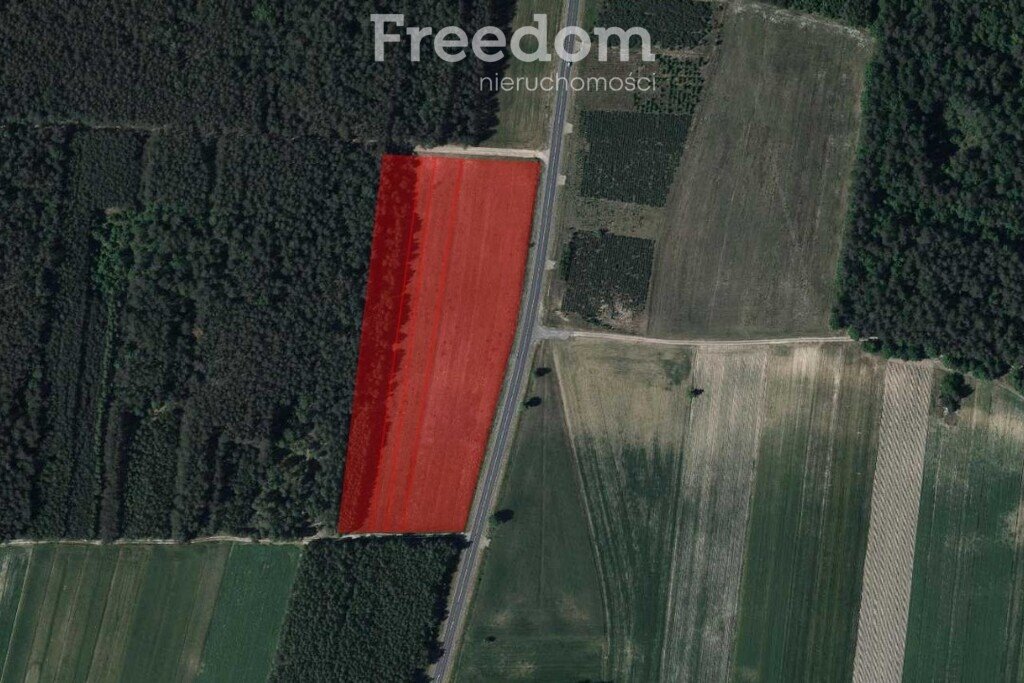 Działka rolna na sprzedaż Siedliska  23 600m2 Foto 1