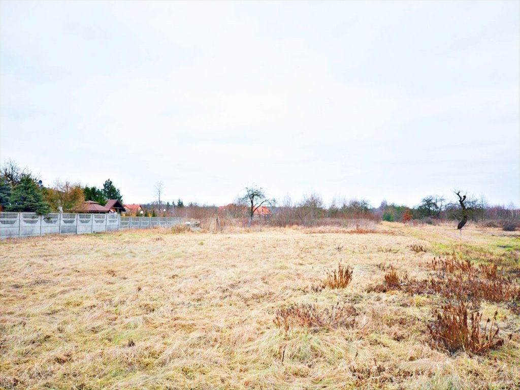 Działka budowlana na sprzedaż Piskórka  3 000m2 Foto 2