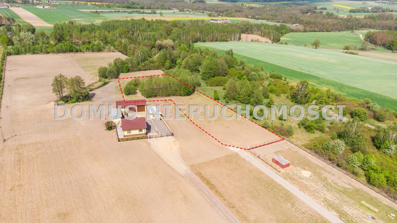 Działka z własnym stawem i warunkami zabudowy, spokojna okolica Rozworzyn  4 999m2 Foto 1