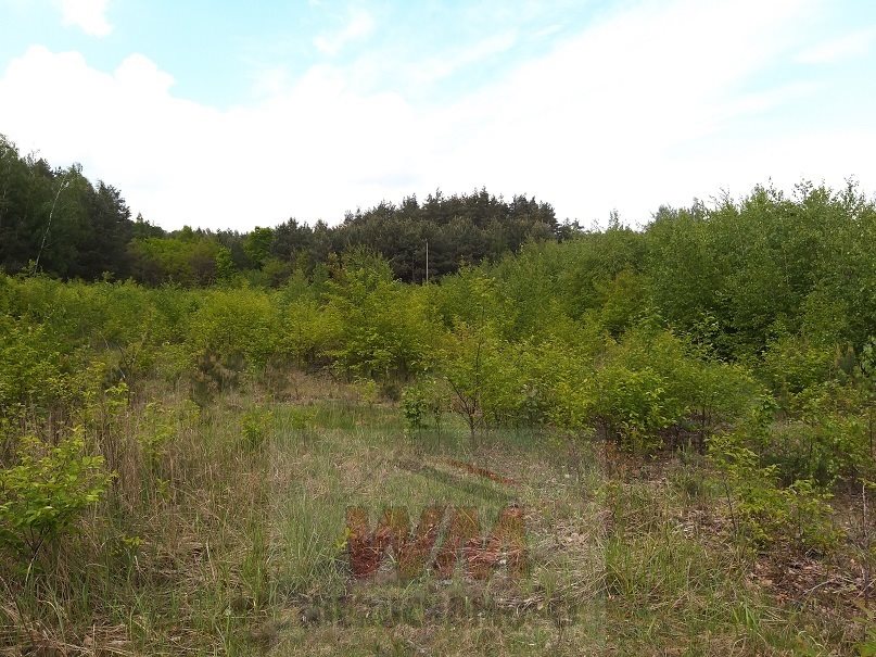 Działka 2,85 ha z prawem zabudowy, las, prąd Pniewy  28 500m2 Foto 1