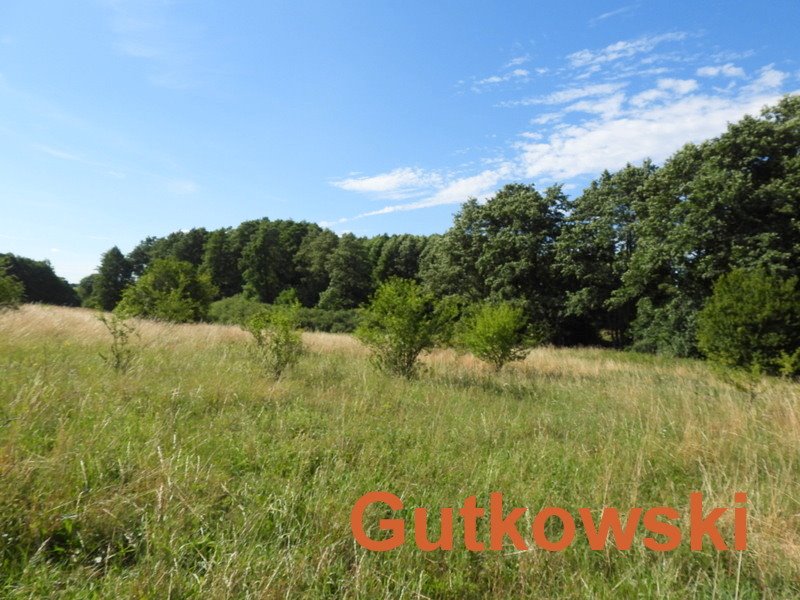 Działka siedliskowa na sprzedaż Szałkowo, Gmina Iława  5 000m2 Foto 7