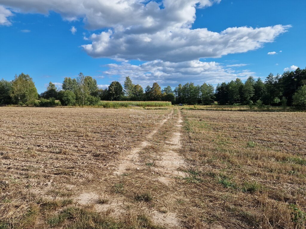 Działka rolna na sprzedaż Uhowo  9 290m2 Foto 5