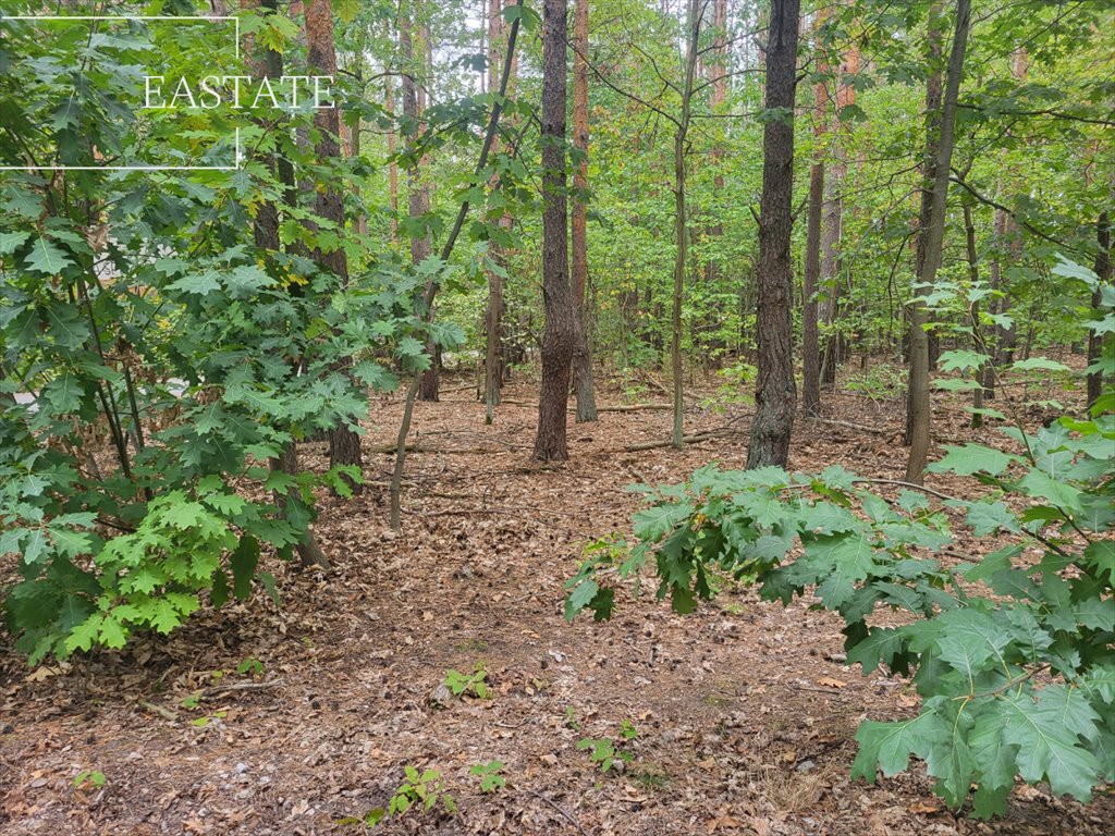 Działka budowlana na sprzedaż Warszawa, Wawer, Liścienia  1 818m2 Foto 1