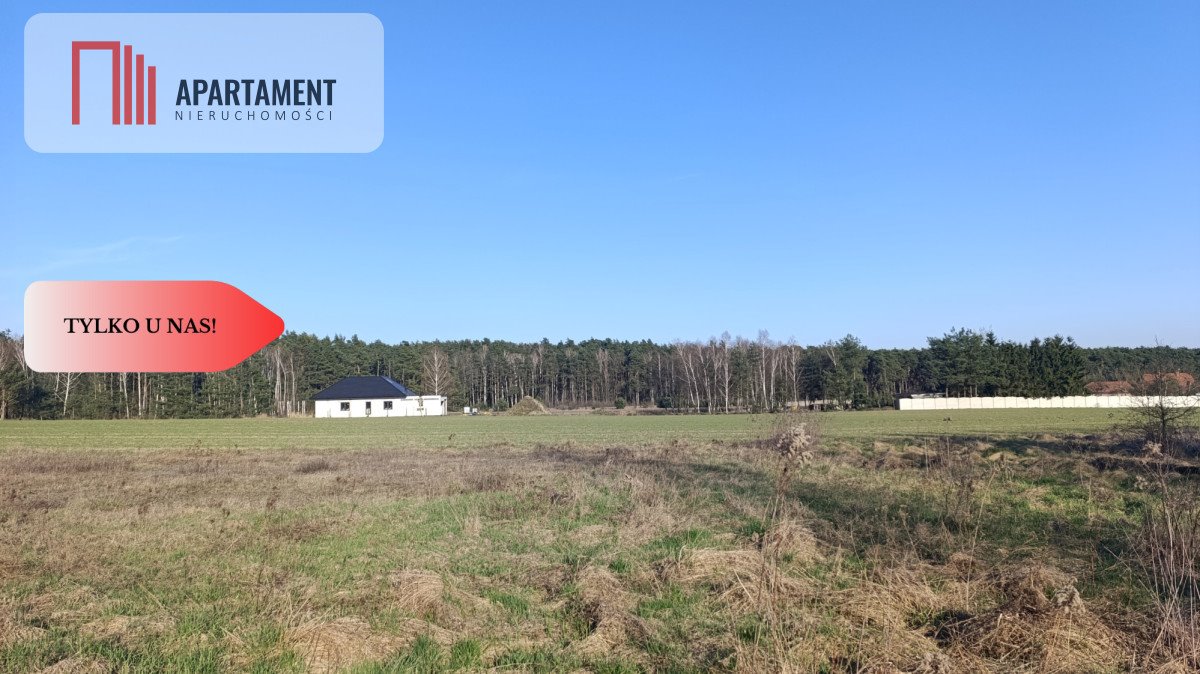 Do sprzedania działka 1196 m² w nowoczesnym osiedlu Wszewilki Wszewilki  1 196m2 Foto 1