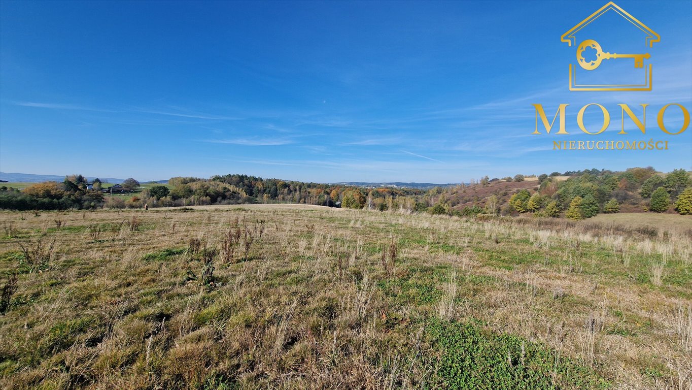 Działka rolna na sprzedaż Korczyna  15 400m2 Foto 4