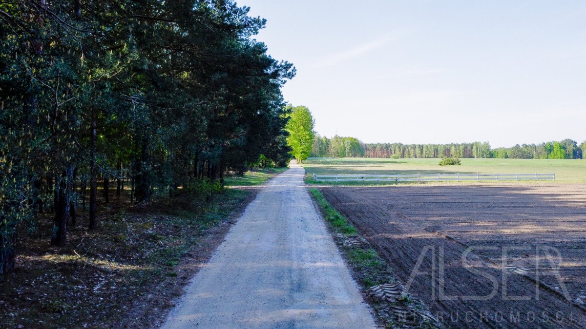 Działka rekreacyjna na sprzedaż Nowe Bosewo, Lipnik  1 245m2 Foto 9