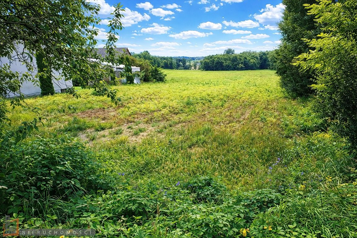 Działka 8,5 ha z możliwością zabudowy i usług w Maszkowie Maszków  8 500m2 Foto 1