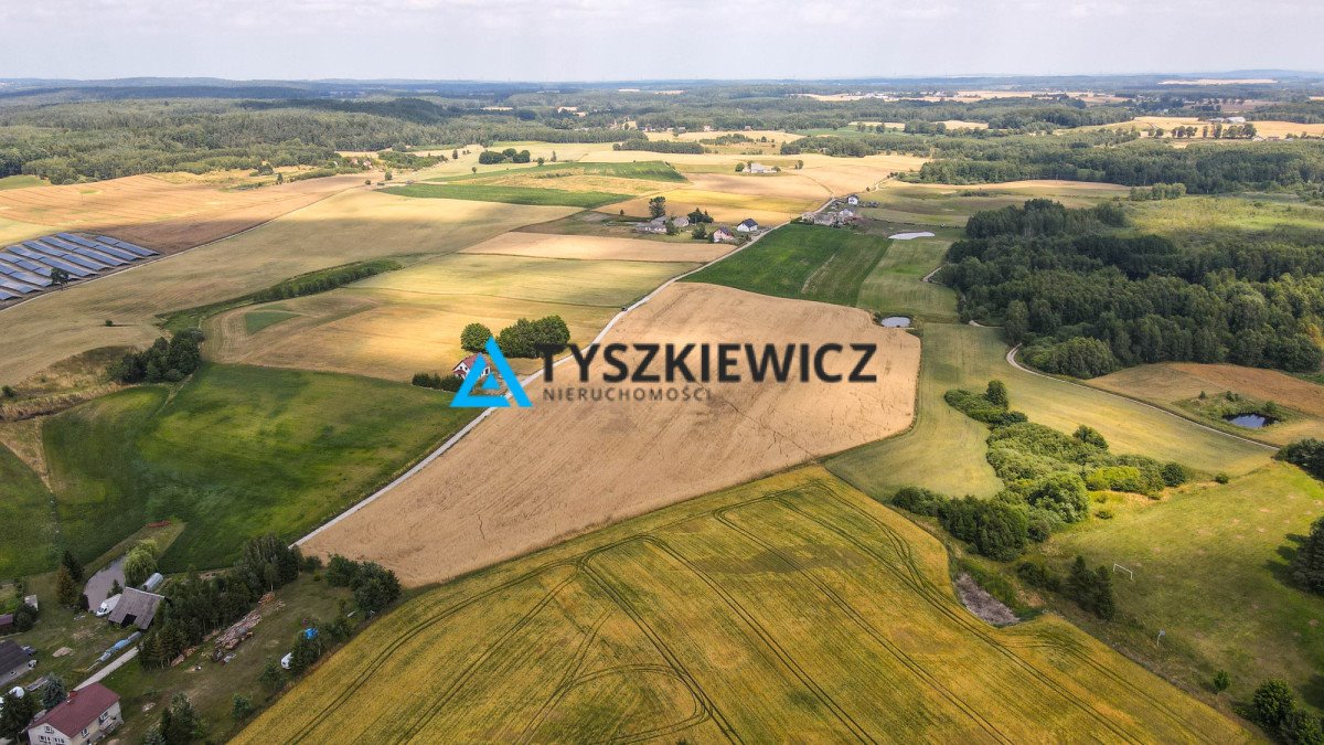 Działka rolna na sprzedaż Szczodrowo  38 300m2 Foto 1