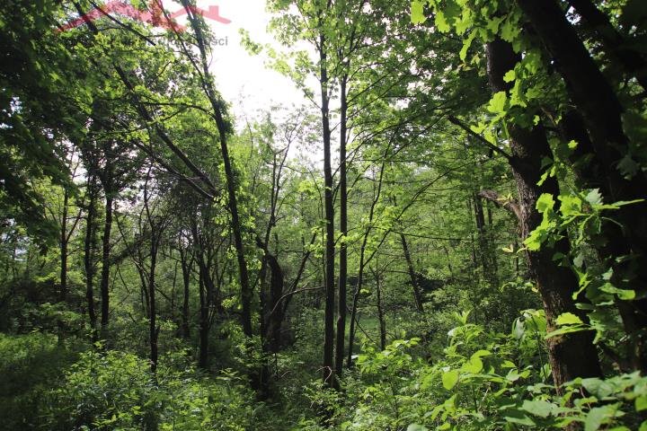 Działka siedliskowa na sprzedaż Malinówka  42 500m2 Foto 12