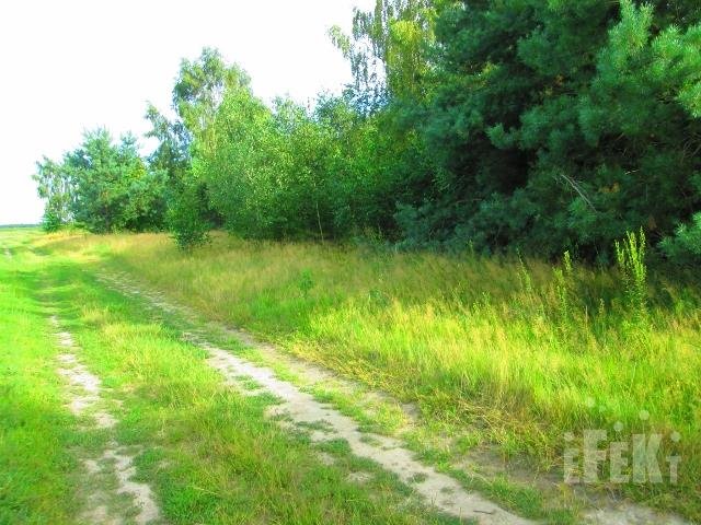 Działka budowlana na sprzedaż Lisna  2 000m2 Foto 3