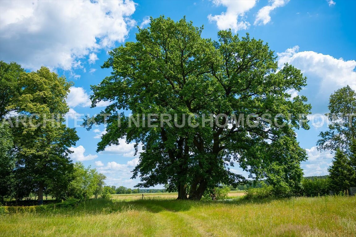 Działka rekreacyjna na sprzedaż Młynarze  750m2 Foto 5