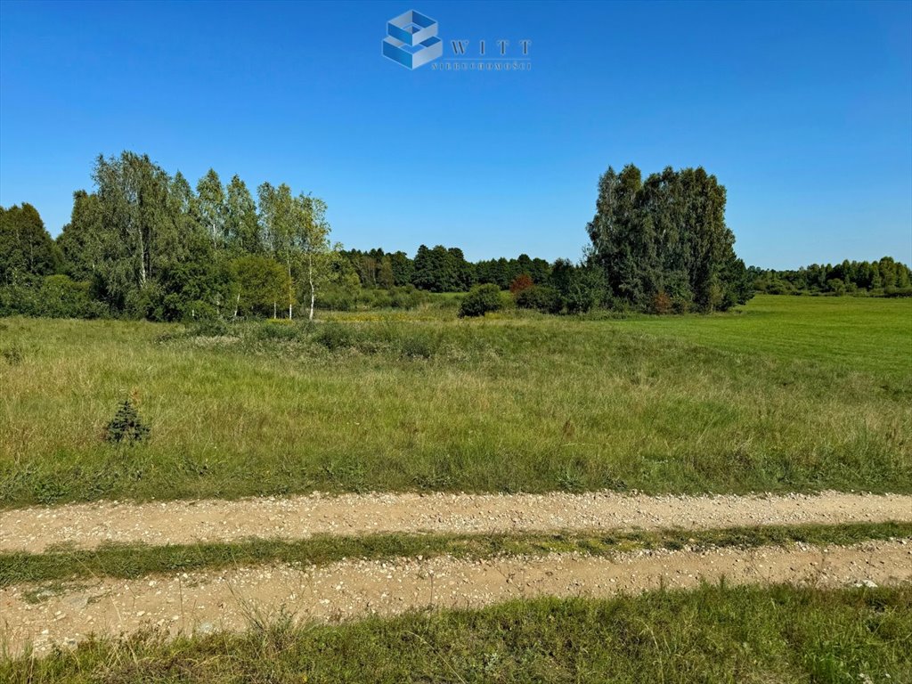 Działka budowlana na sprzedaż Kotkowo  7 965m2 Foto 10