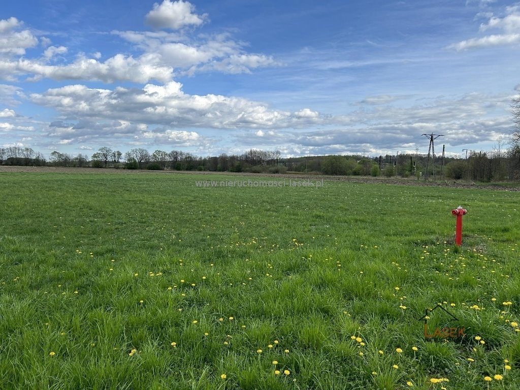 Działka rolna na sprzedaż Palczowice  3 400m2 Foto 1