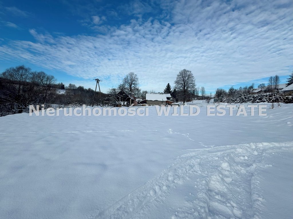 Działka rolna na sprzedaż Olszanica, Paszowa  2 593m2 Foto 3