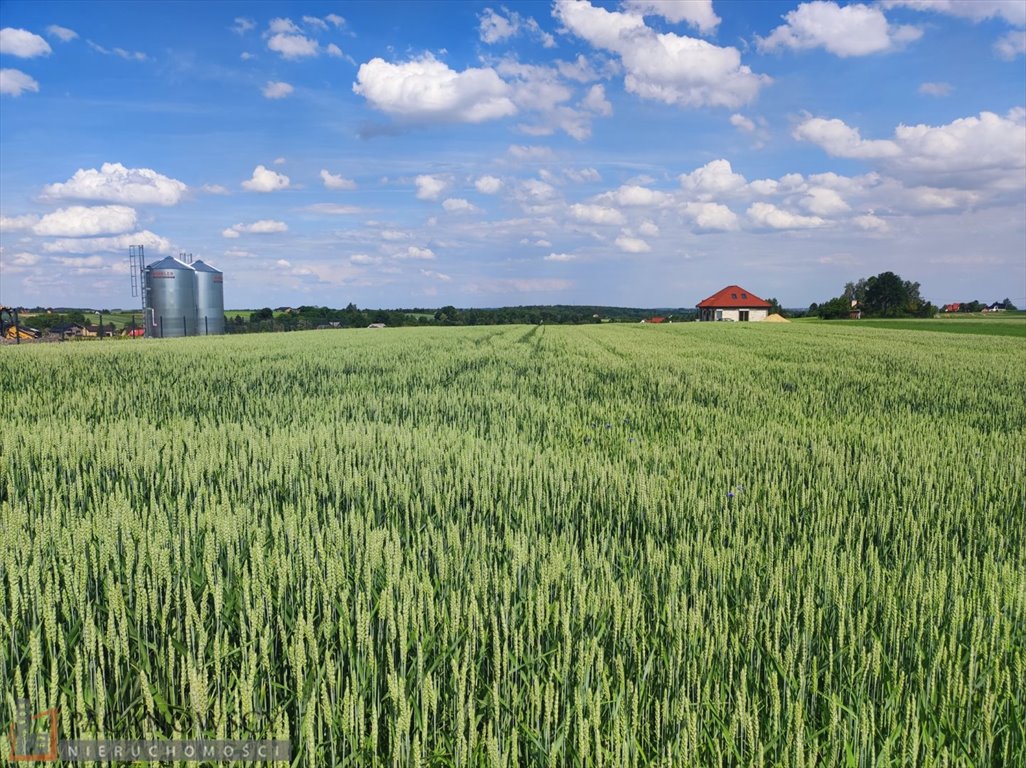 Działka inna na sprzedaż Cianowice Duże  10 500m2 Foto 2