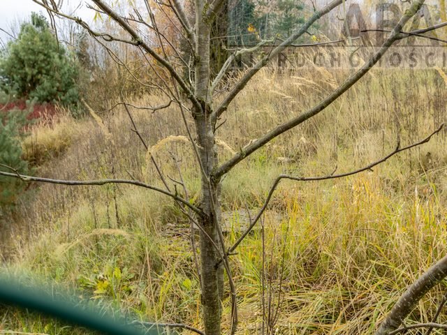 Działka budowlana na sprzedaż Brzezie  2 019m2 Foto 4