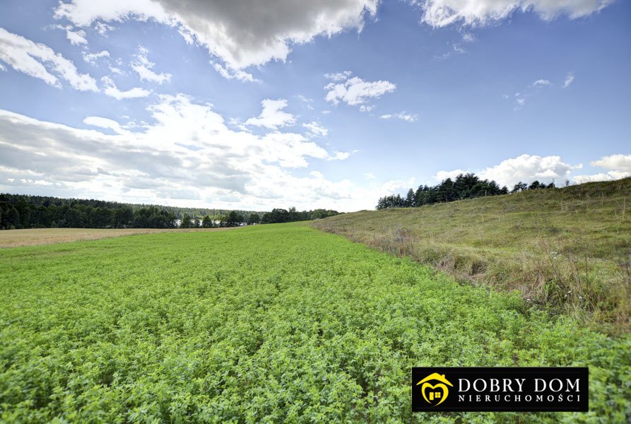 Działka rolna na sprzedaż Stara Kamionka  3 000m2 Foto 8