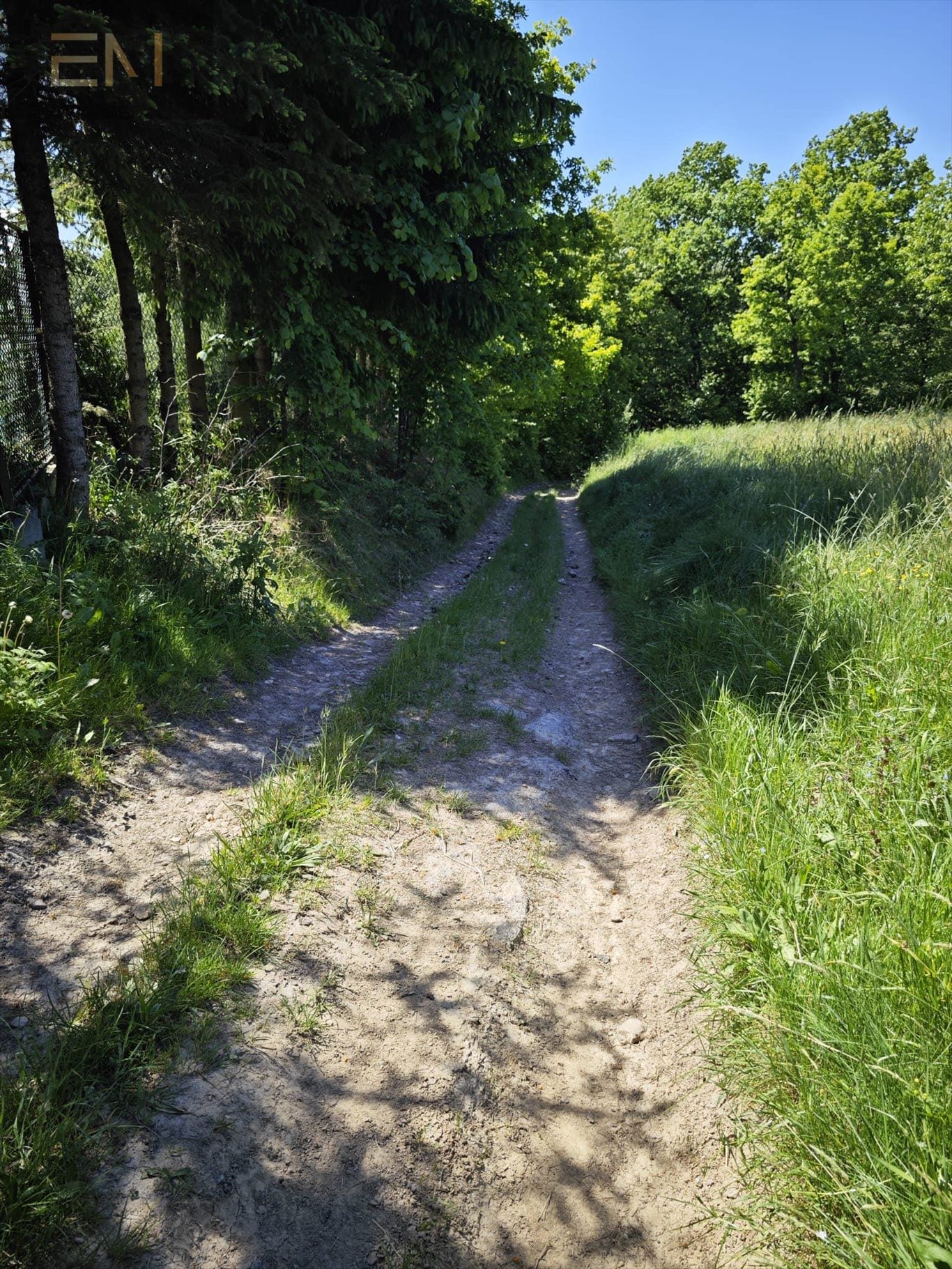 Działka rekreacyjna na sprzedaż Straszydle  5 200m2 Foto 5