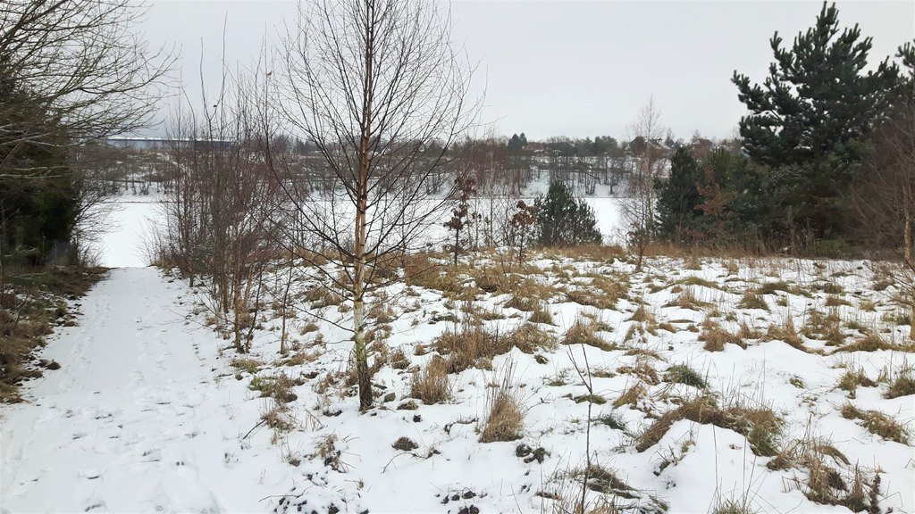 Działka budowlana na sprzedaż Chwaszczyno  900m2 Foto 1