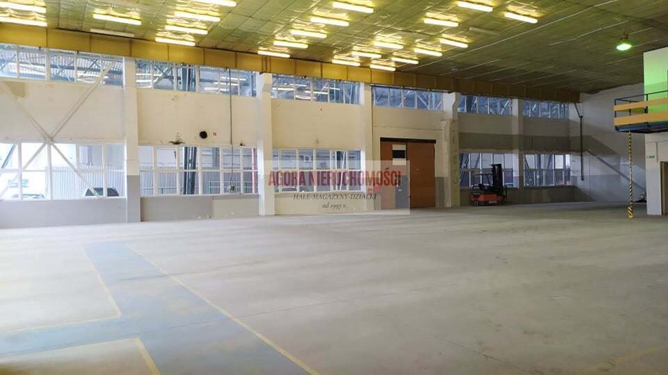 Wynajem magazynu 790 m2 z zapleczem i placem TIR Kraków, Rybitwy, Rybitwy  790m2 Foto 1
