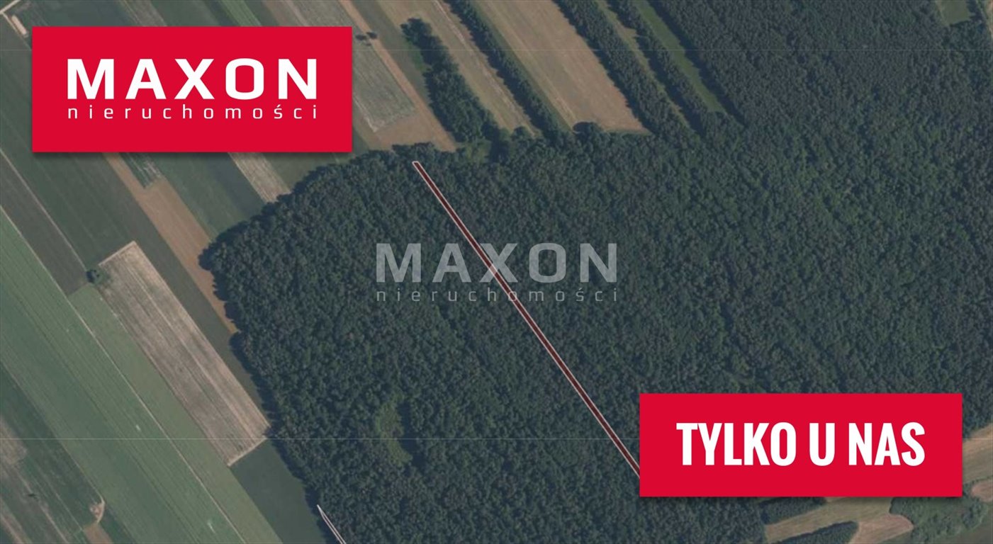 Na sprzedaż działka leśna 8 000 m² w Orzeszówce Orzeszówka  8 000m2 Foto 1