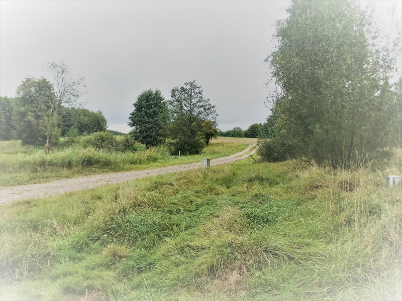 Działka budowlana na sprzedaż Charzykowy, Droga pod Strzechę 1 945m2 Foto 1 Działka budowlana na sprzedaż Charzykowy, Droga pod Strzechę 1 945m2 Foto 1
